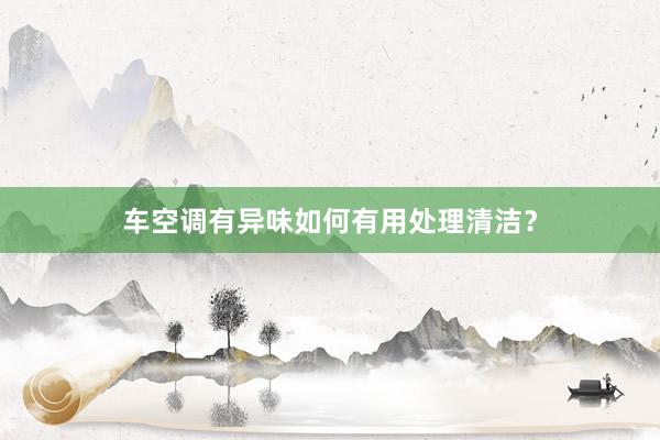 车空调有异味如何有用处理清洁？