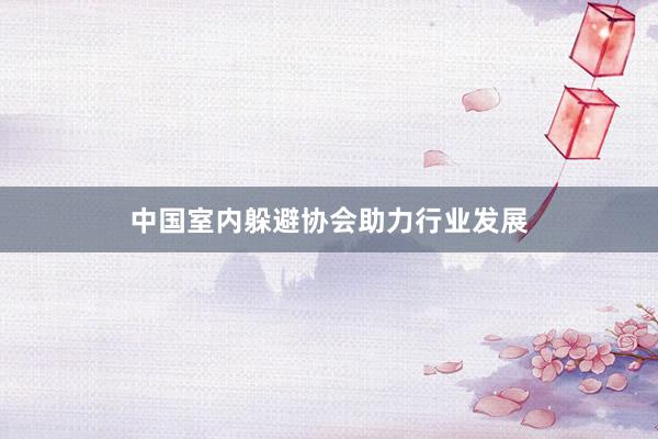 中国室内躲避协会助力行业发展